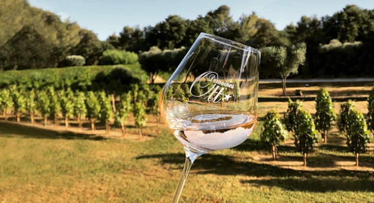 Domaines Ott roosa vein