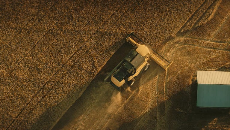 Overhead view of barley harvest in Koskenkorva village