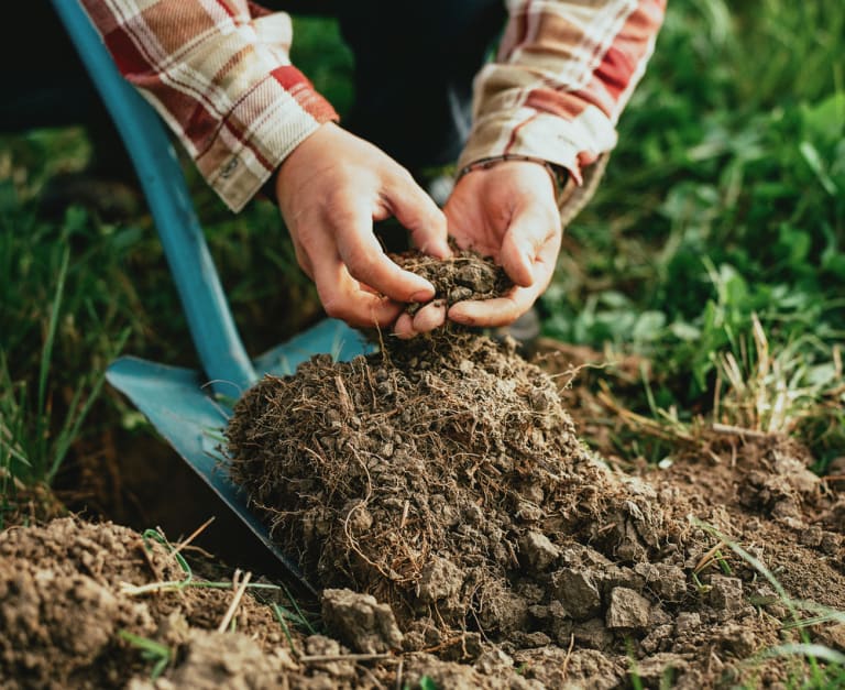 Koskenkorva Climate Action Planting