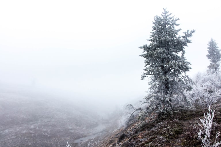 Nebelneigung der nordischen Natur vom Berggipfel