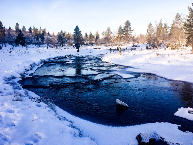 Nordischer Winterblick mit einem Teich