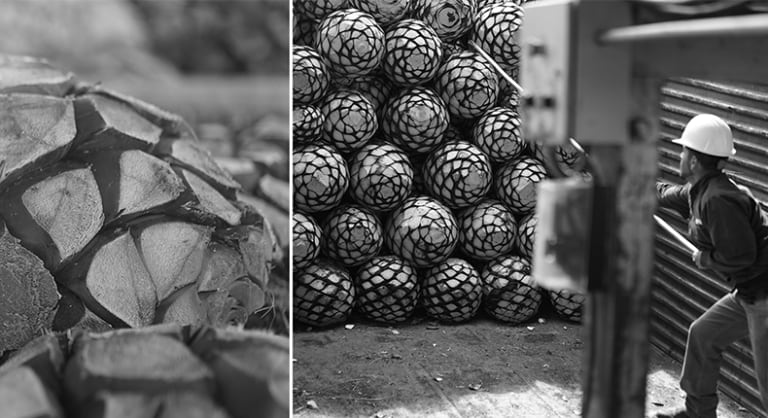 Espolon tekiilad valmistatakse 100% sinisest agaavist