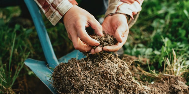 Taastuv põllumajandus