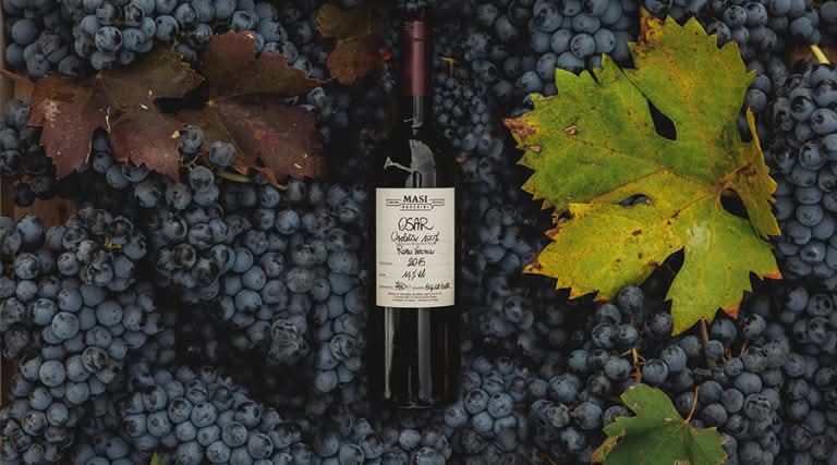 Veiniviinamarjade ja lauaviinamarjade füüsilised erinevused