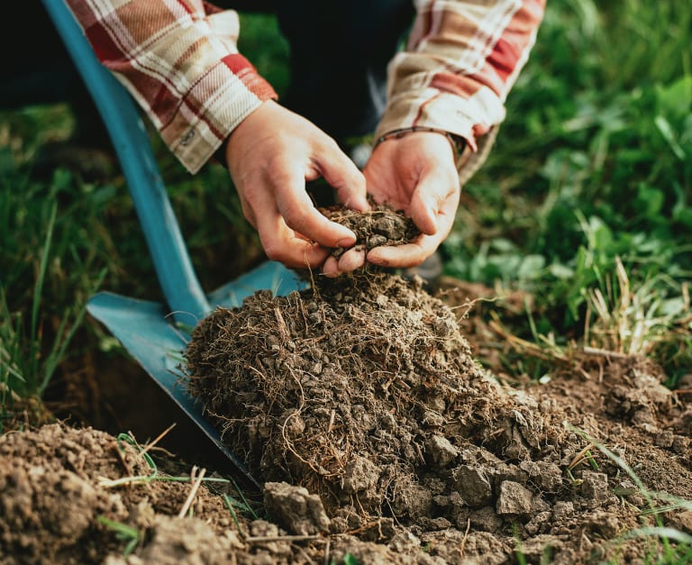 Shovel and soil