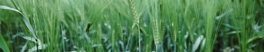 Farmers are our valuable partners