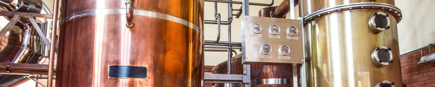 Barely starch as a raw material for beer