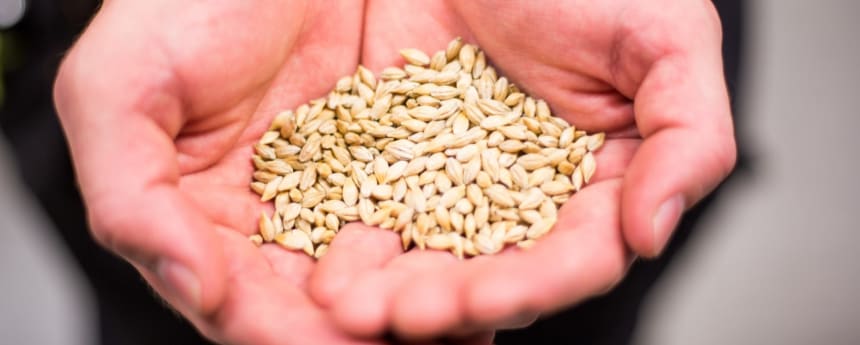 Ohran lajikkeellisia laatutietoja Koskenkorvan tehtaalta