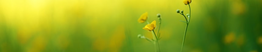 Naturet is geothermal fluid - safe for the user and nature also