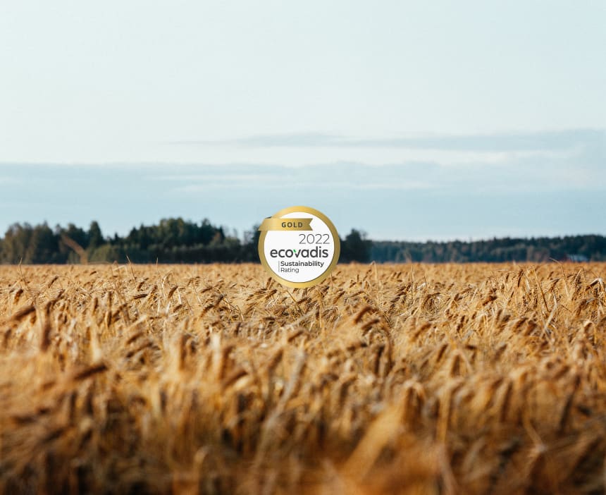 Anora EcoVadise kuldmedal