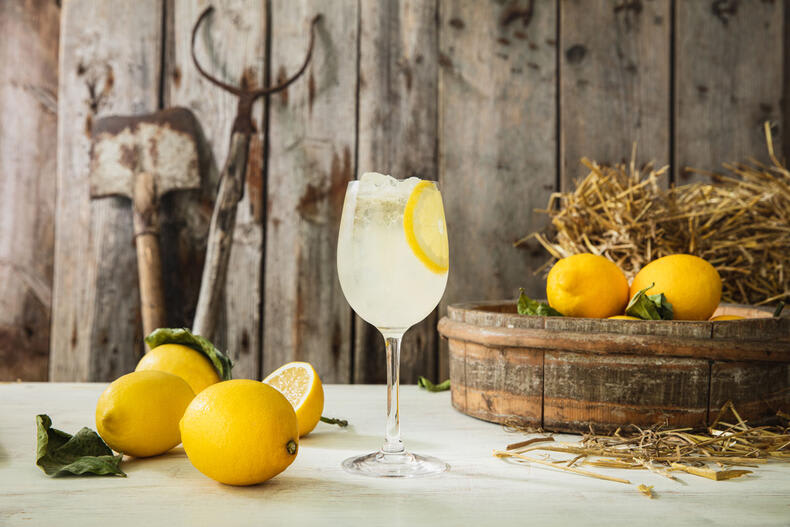 Lemon Spritz Cocktail for the summer