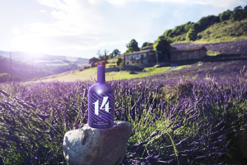 Blossa 14 - Provence Lavendel Press Image