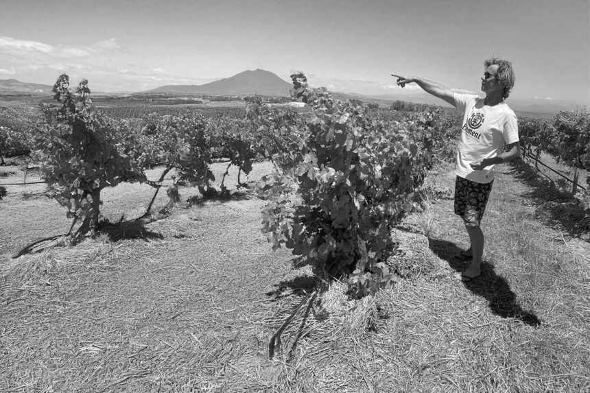 Bibendum 2026 – Johan Reyneke in the vineyard, Reyneke Wines, South Africa