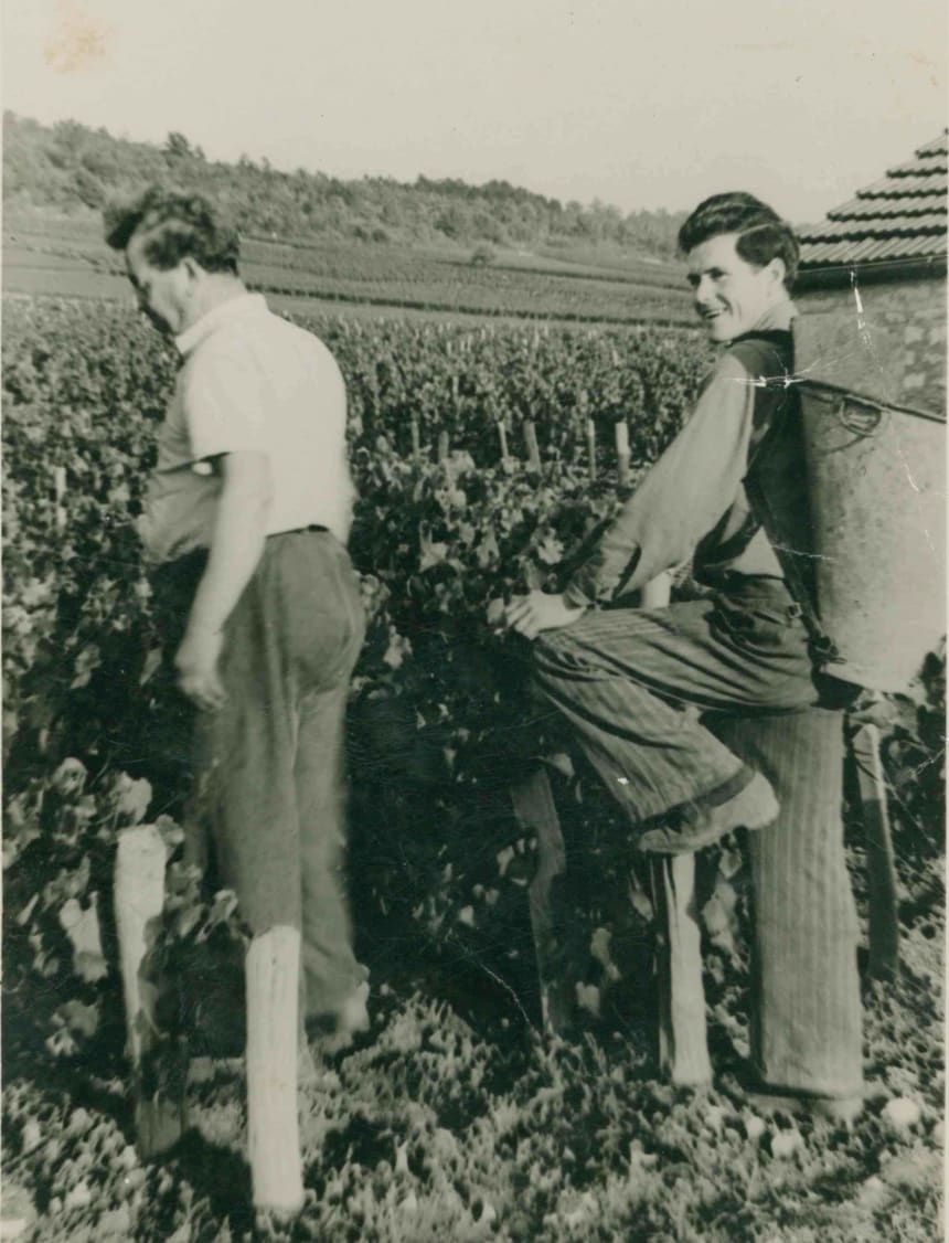 Domaine des Malandes - Fourchaume history