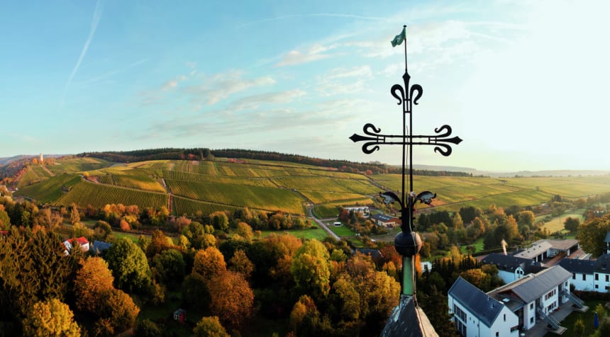 Hos Robert Weil i Rheingau.
