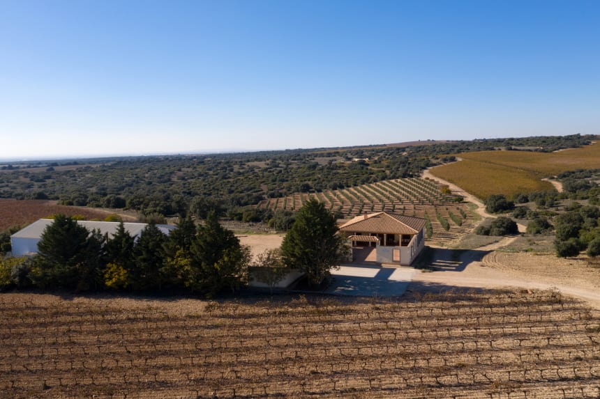 Bodegas Leganza - Estate overview