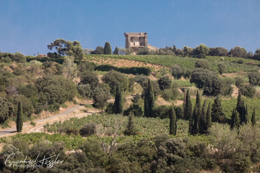 Xavier Vignon landscape
