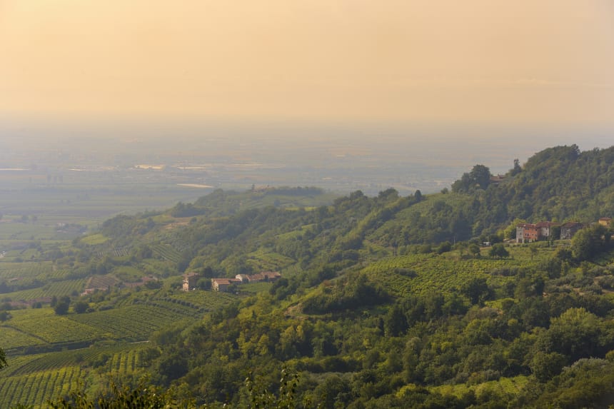 Zonin - Gambellara Hills