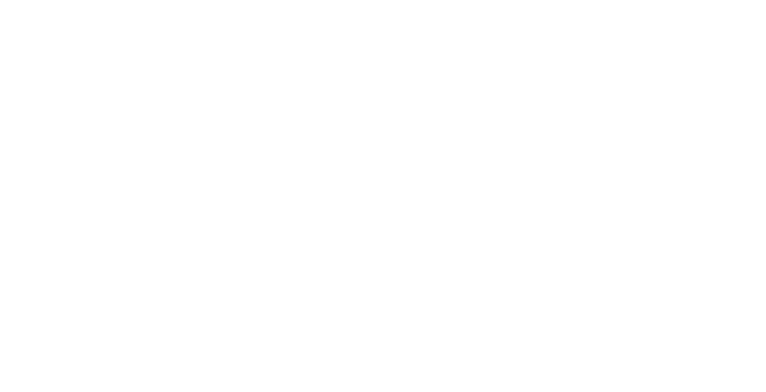 Anora Pro logo