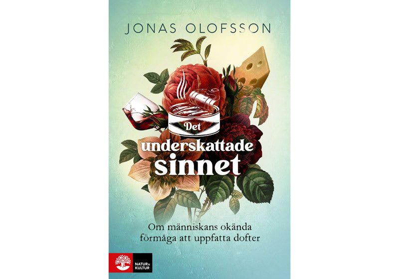 Det underskattade sinnet, av Jonas Olofsson.