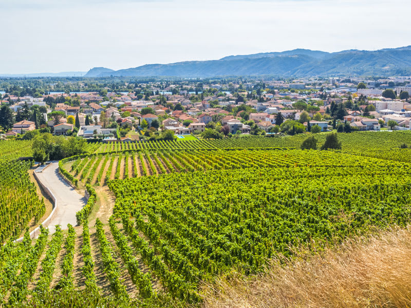 Côte du Rhône, Hermitage.