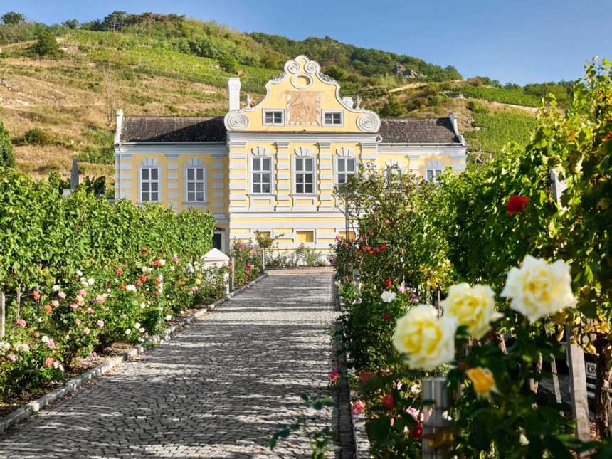 Vineriet hos Domäne Wachau.