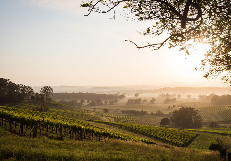 Hunter Valley i Australien.