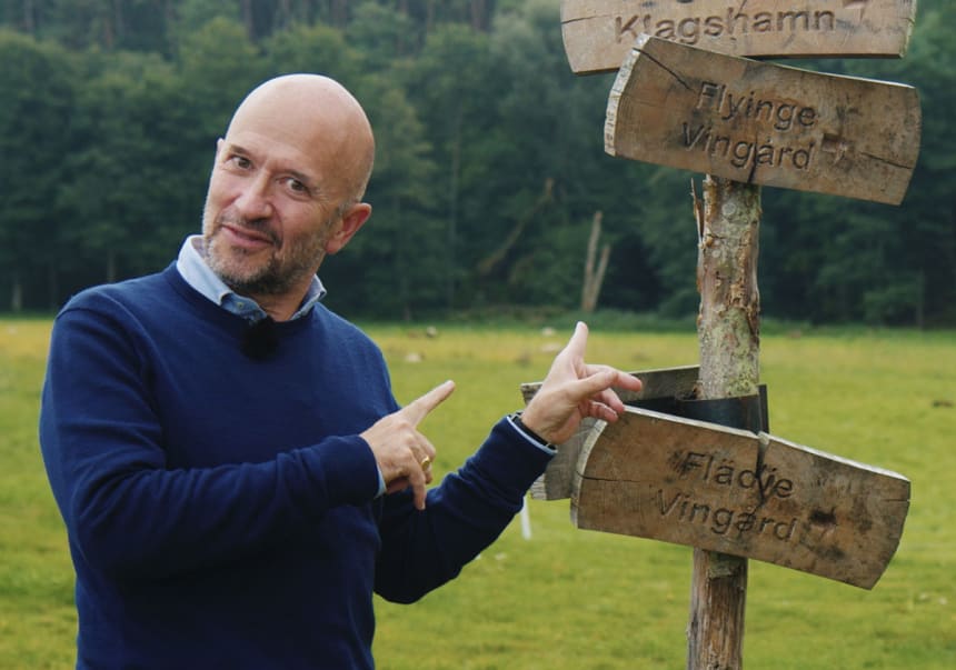 Joe Fattorini reser runt bland svenska vingårdar.