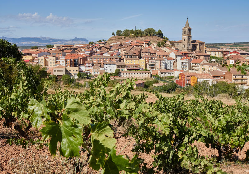 Bild över stad i Rioja med vinodlingar utanför.