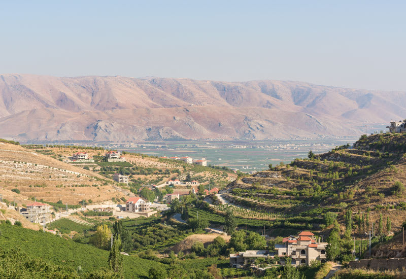Vinodlingar i Libanon.