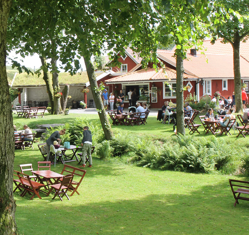 Café Fårfarmen - sommarcafé