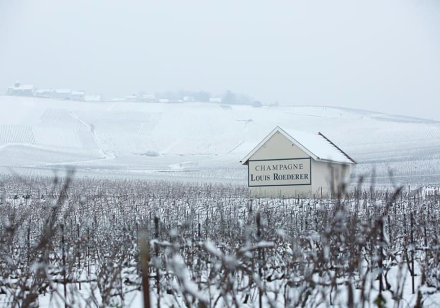 Louis Roederer i snö