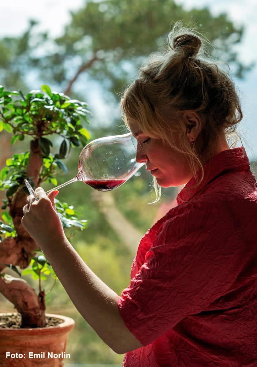 Frida Lund doftar på vin