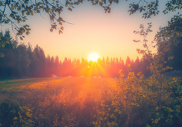 Midsommarnatt