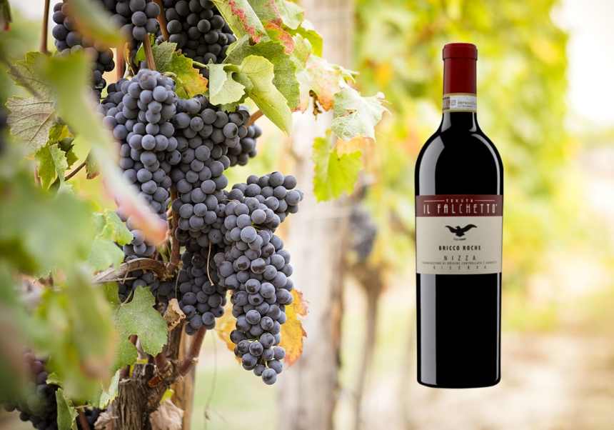 Nizza Reserva Bricco Roche med blåa druvor