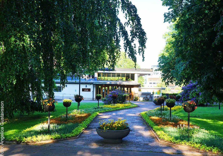 Park i Parken