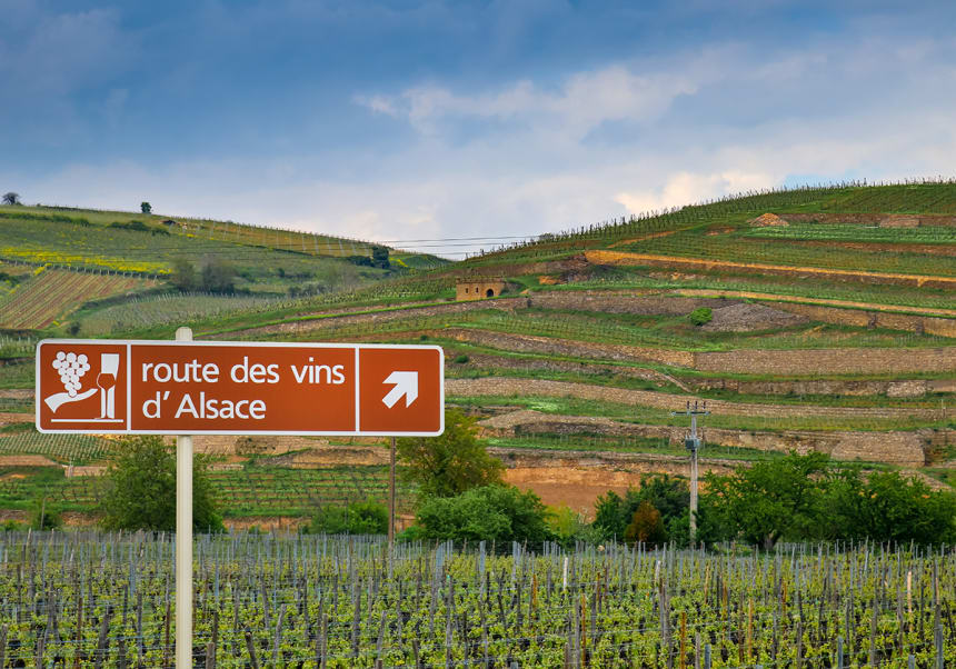 Route de vin i Alsace