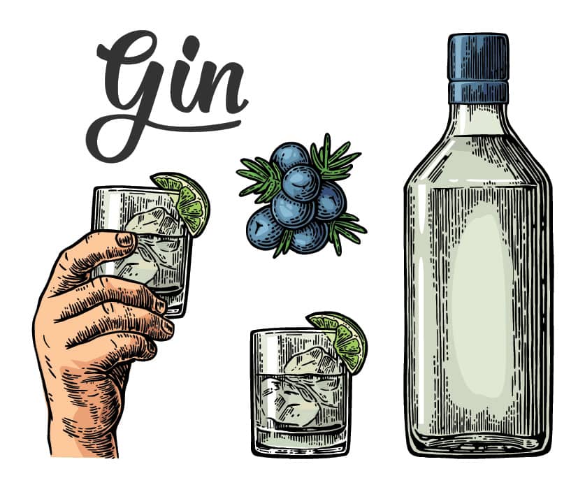 10 saker du inte visste om gin