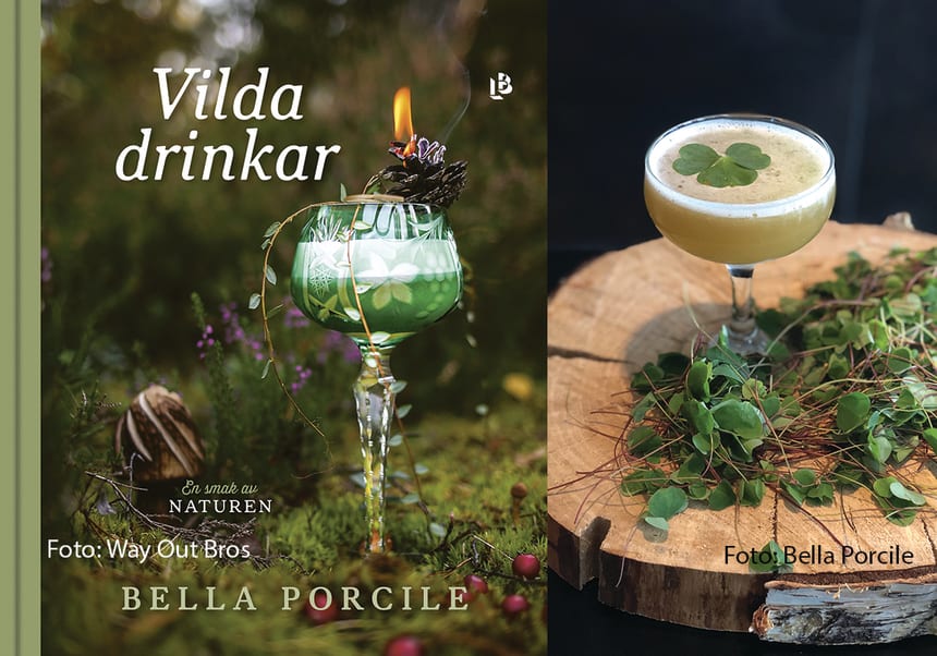 Vilda drinkar bokomslag och drink