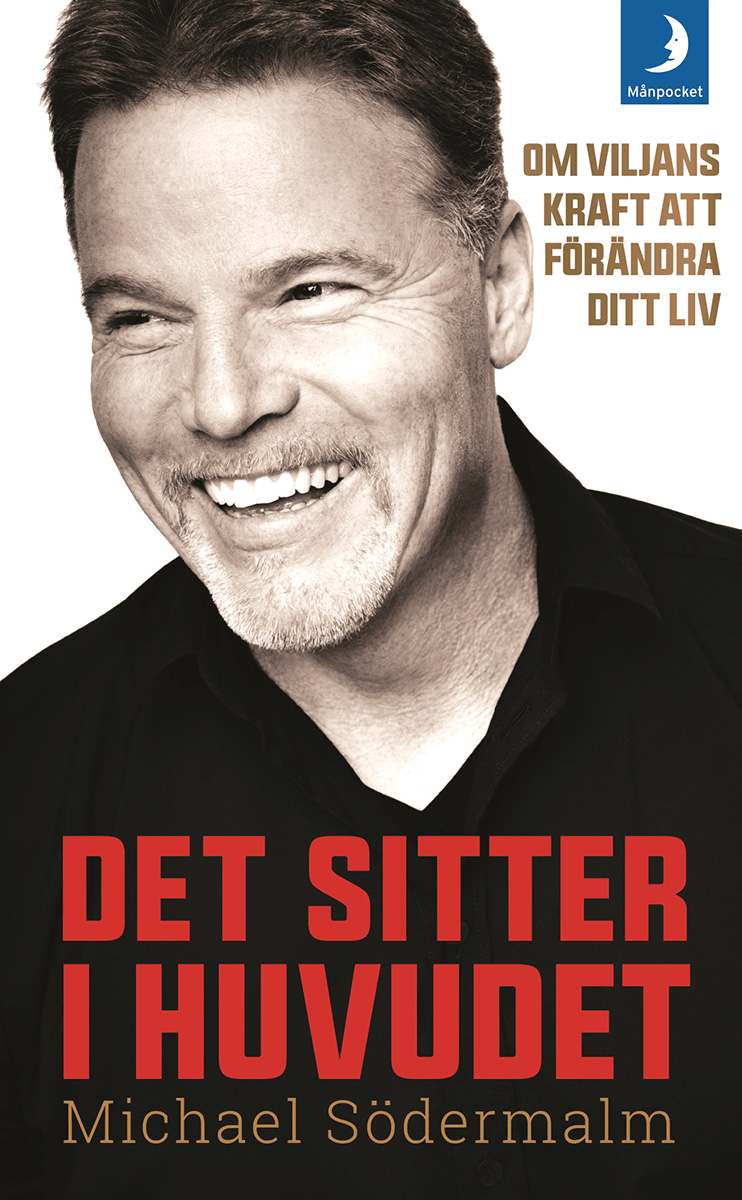 Michael Södermalms bok Det sitter i huvudet