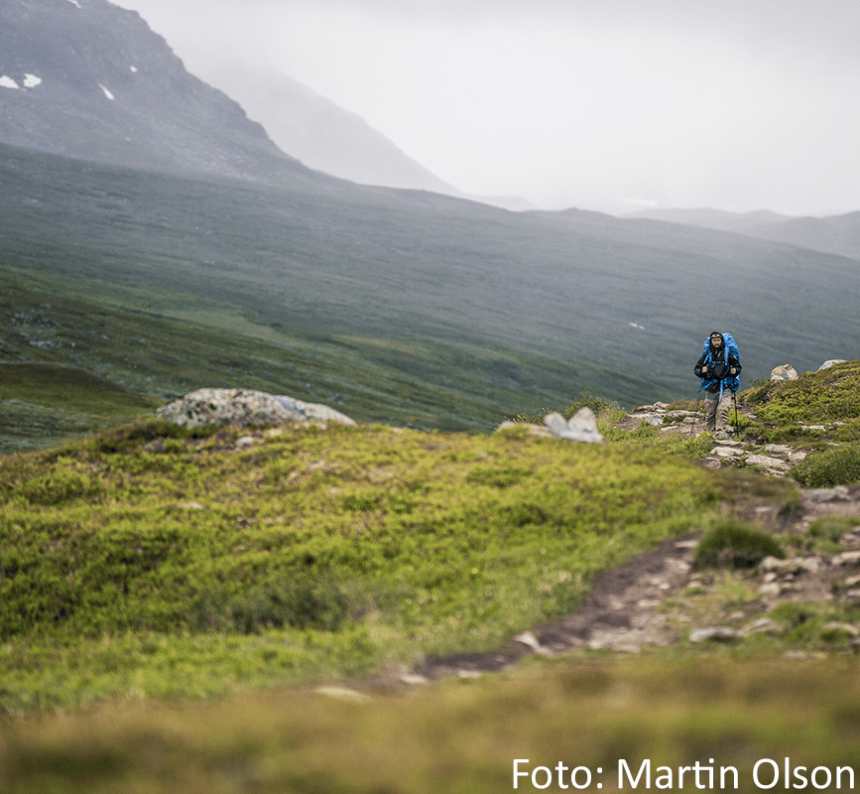 Vandringsled i Vindelfjällen - Svenska Turistföreningen