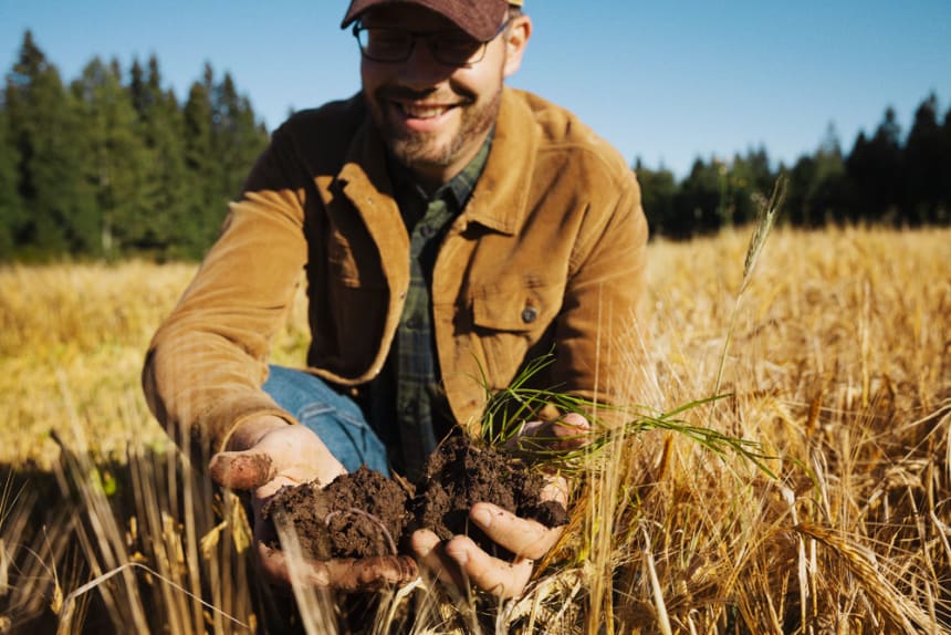 A farmer at a barley field in the Koskenkorva village