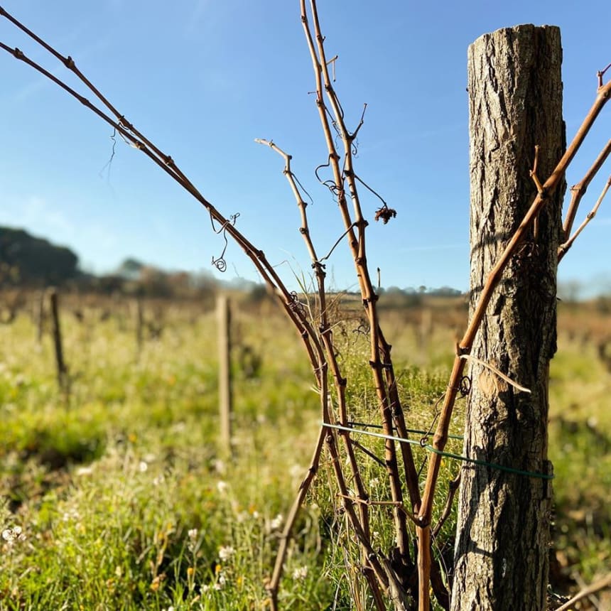 Domaine Cristia Courthezon