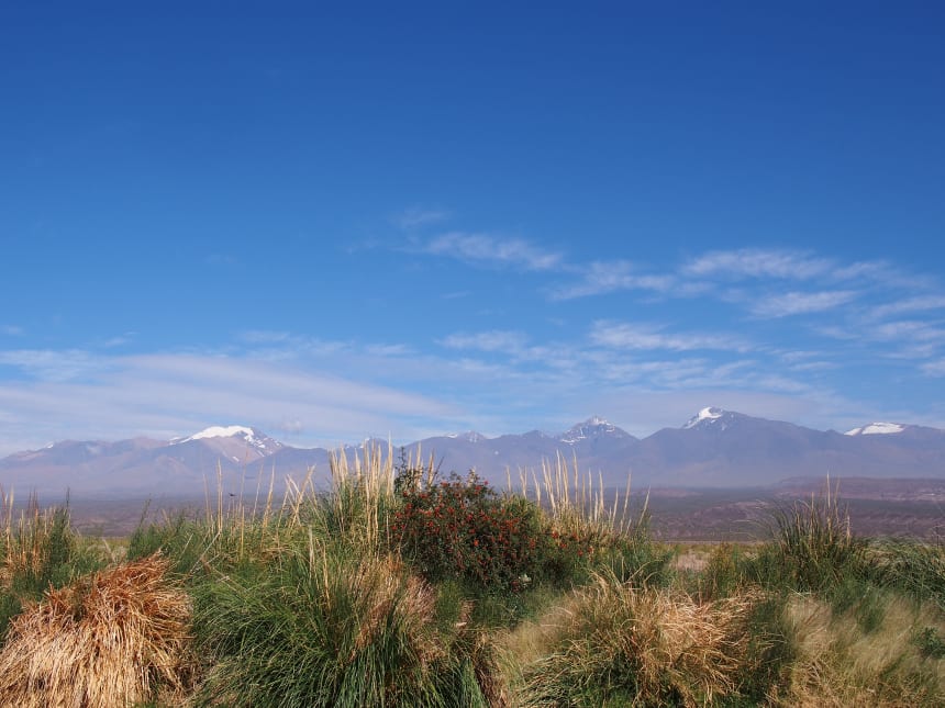 Finca Las Moras i Argentina