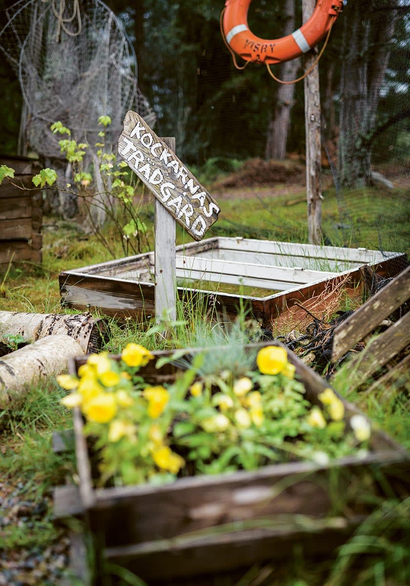 Kockarnas trädgård på Nåttarö