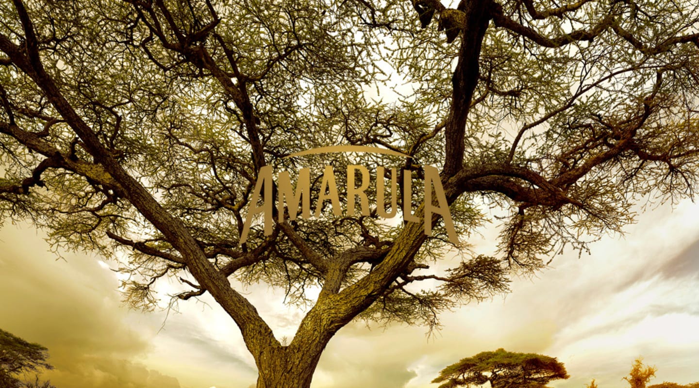 Amarula - hero-kuva logolla