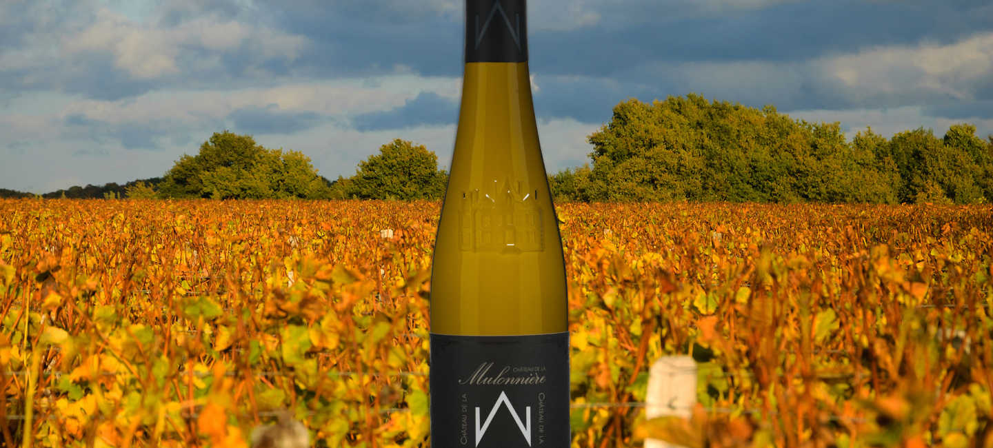Flaska Faveur de l´Automne mot bakgrund av höstiga vinstockar i Loire.