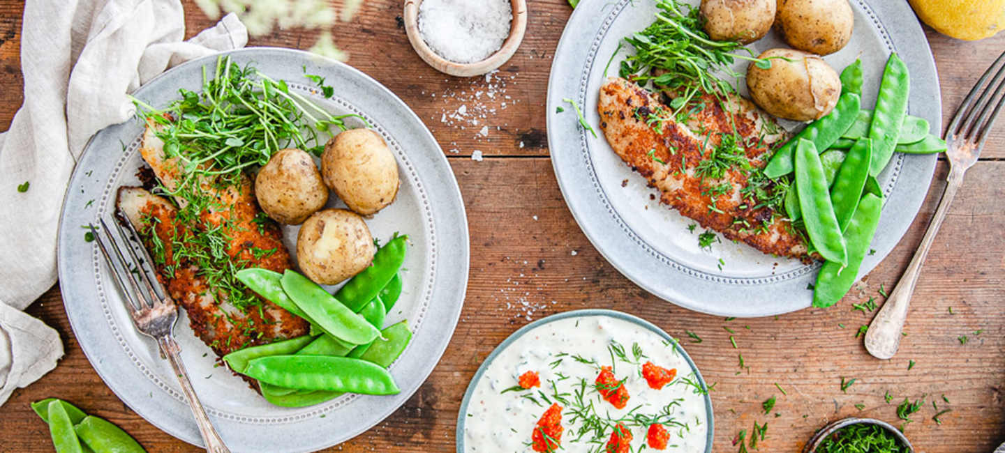 Smörstekt abborre med färskpotatis och gräddfilssås.