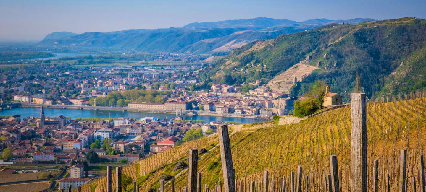 Côte du Rhône i Rhônedalen.