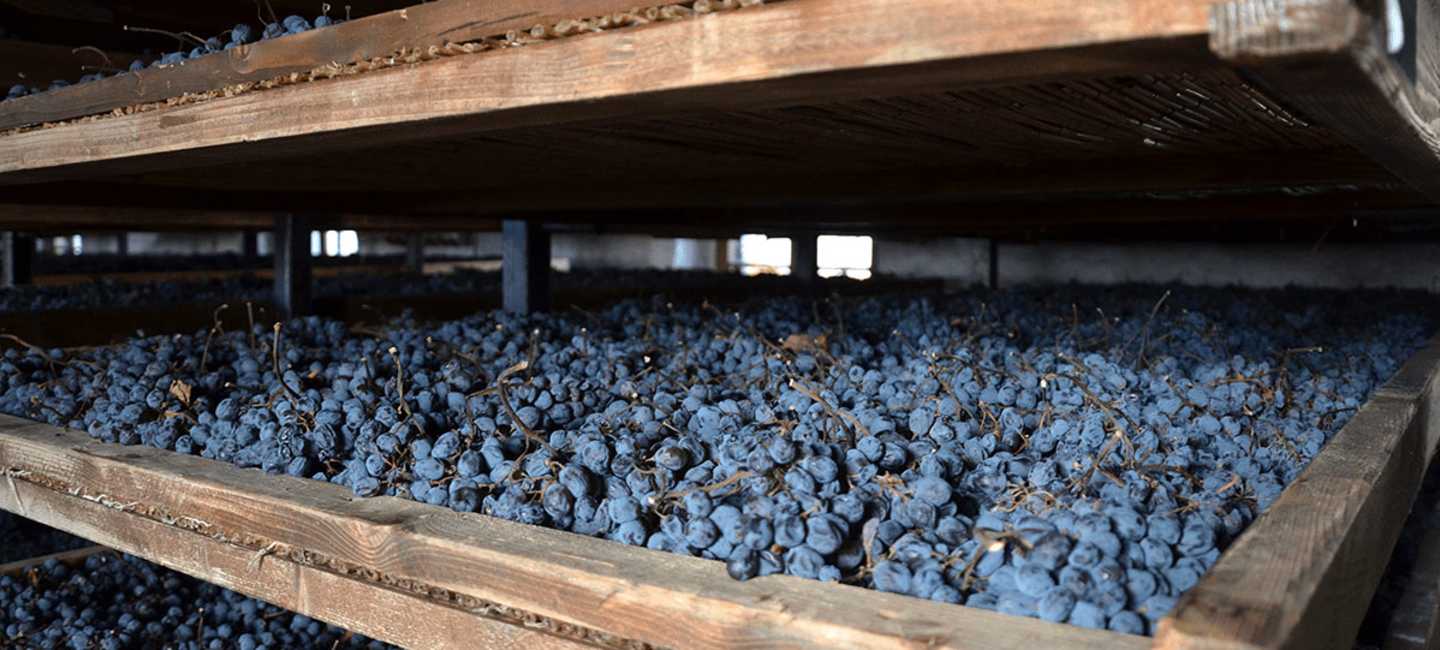 Hylla med druvor som ska bli amarone